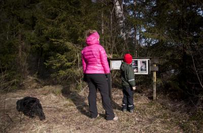 post-12278-0-36002900-1426449644_thumb.j