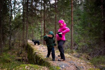 post-12278-0-48393700-1426449657_thumb.j