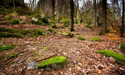 post-12278-0-90569600-1426863179_thumb.j