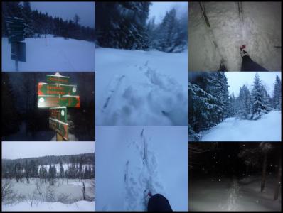 post-12580-0-31044400-1427410853_thumb.j