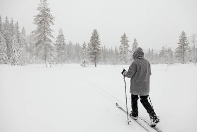 post-14218-0-23299100-1426720851_thumb.j