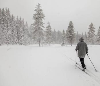 post-14218-0-53012900-1426720899_thumb.j