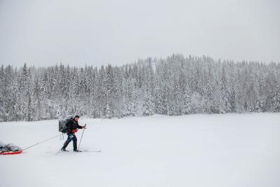 post-14218-0-62080500-1426721001_thumb.j