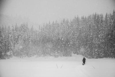 post-14218-0-92713400-1426720849_thumb.j