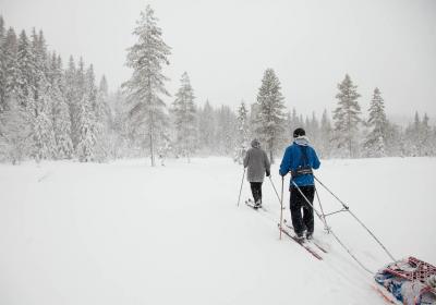 post-14218-0-97922000-1426720899_thumb.j