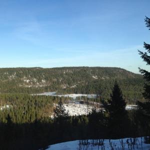 post-14924-0-15829800-1426241606_thumb.j