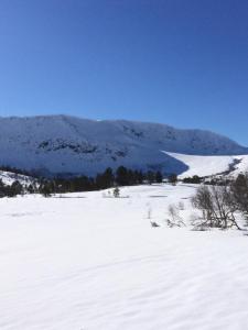 post-15991-0-19969600-1427028402_thumb.j