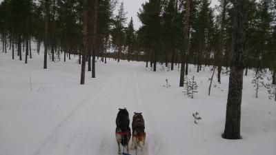 post-2898-0-64379600-1425739652_thumb.jp