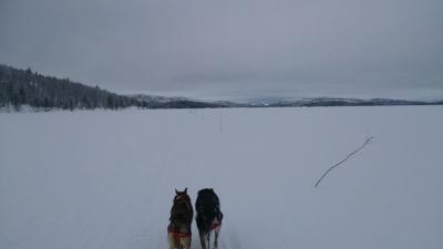 post-2898-0-66088700-1425739644_thumb.jp