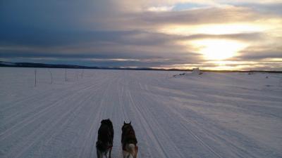 post-2898-0-90446100-1425739667_thumb.jp