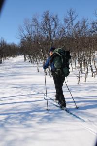 post-4016-0-19576000-1426486780_thumb.jp