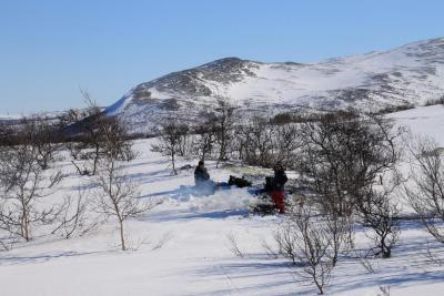 post-4016-0-60328700-1426486961_thumb.jp