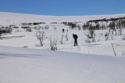 post-4016-0-84375300-1426486881_thumb.jp