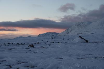 post-4639-0-64736500-1425519496_thumb.jp