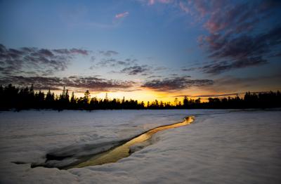 post-7957-0-47330400-1425587010_thumb.jp