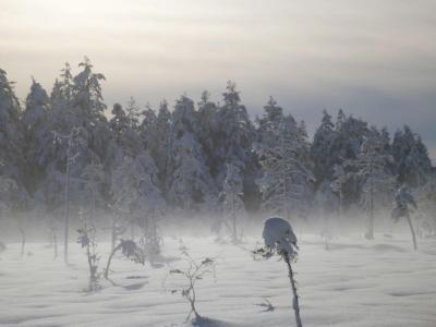 post-8462-0-37949700-1425538415_thumb.jp