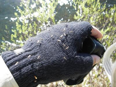 post-8462-0-45069800-1427465251_thumb.jp