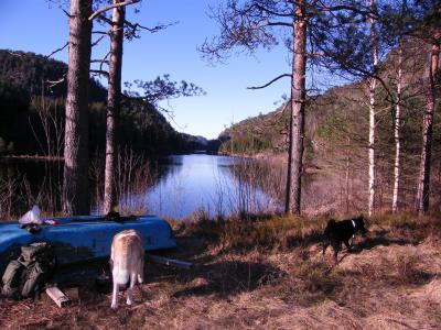 post-8832-0-42154500-1427062153_thumb.jp