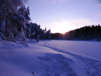 post-8832-0-67567900-1425591879_thumb.jp