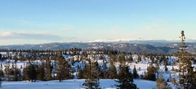 post-9055-0-17418300-1425489315_thumb.jp