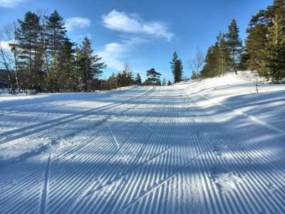 post-9055-0-32846300-1425419503_thumb.jp