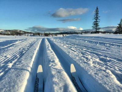 post-9055-0-42566000-1425419508_thumb.jp