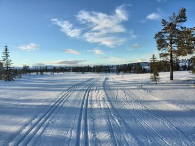 post-9055-0-61116600-1425419514_thumb.jp