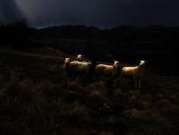 post-1044-0-26626600-1367164636_thumb.jp