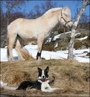 post-11179-0-50088600-1364838902_thumb.j