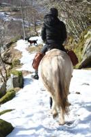 post-11179-0-65088100-1364838729_thumb.j