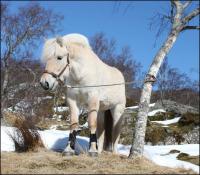 post-11179-0-92504300-1364838816_thumb.j