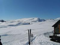 post-12082-0-05604000-1364845222_thumb.j