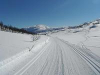 post-12082-0-11193000-1364845310_thumb.j