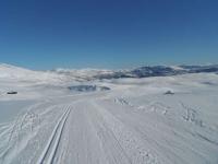 post-12082-0-55683100-1364845080_thumb.j