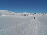 post-12082-0-56401200-1364845282_thumb.j