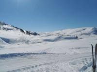 post-12082-0-98555100-1364845200_thumb.j