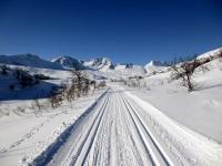 post-4444-0-29716200-1364834893_thumb.jp