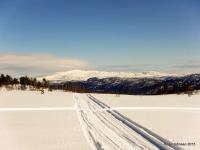 post-4444-0-55116300-1364842113_thumb.jp