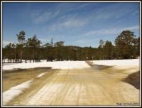 post-4444-0-77876600-1366644341_thumb.jp