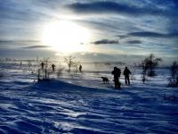 post-4650-0-44115900-1365627495_thumb.jp