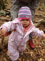 post-4904-0-43211700-1366833469_thumb.jp