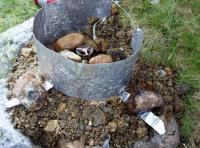 post-6671-0-91531600-1365012376_thumb.jp