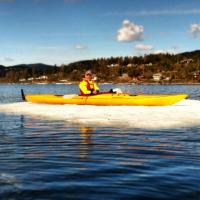 post-7536-0-29214500-1366828239_thumb.jp