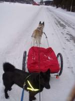 post-8832-0-10734800-1367155004_thumb.jp