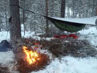 post-9585-0-70980000-1365321767_thumb.jp