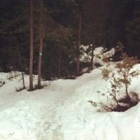 post-9775-0-87107100-1366100652_thumb.jp