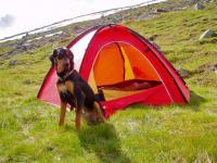 post-9907-0-01146100-1365962864_thumb.jp