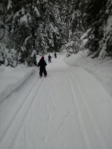 post-11774-0-46778800-1396954473_thumb.j