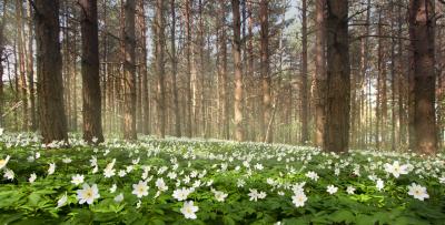 post-12278-0-29695800-1398505600_thumb.j