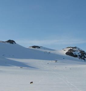 post-12337-0-14256300-1398701356_thumb.j